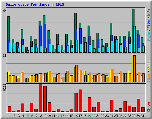 Daily usage for January 2013