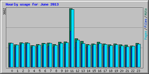 Hourly usage for June 2013