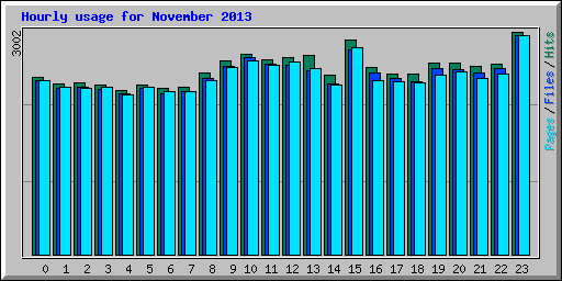Hourly usage for November 2013