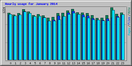 Hourly usage for January 2014