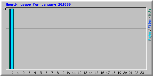 Hourly usage for January 201600
